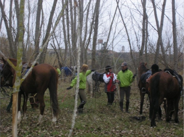 Disfruta de las rutas a caballo